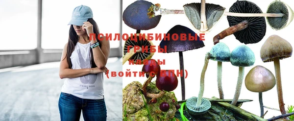 МДМА Белокуриха