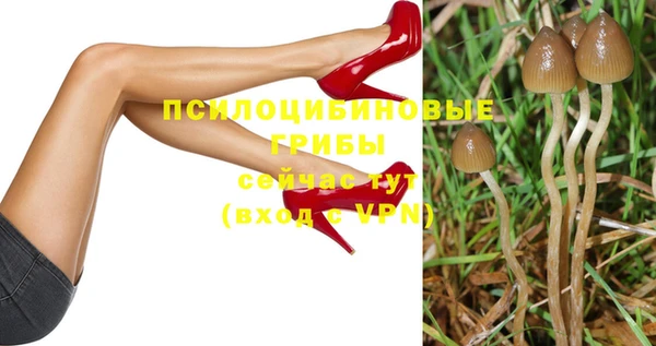 МДМА Белокуриха