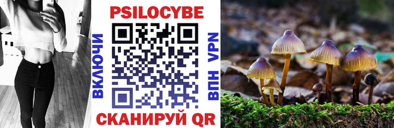 Псилоцибиновые грибы прущие грибы  Берёзовка 